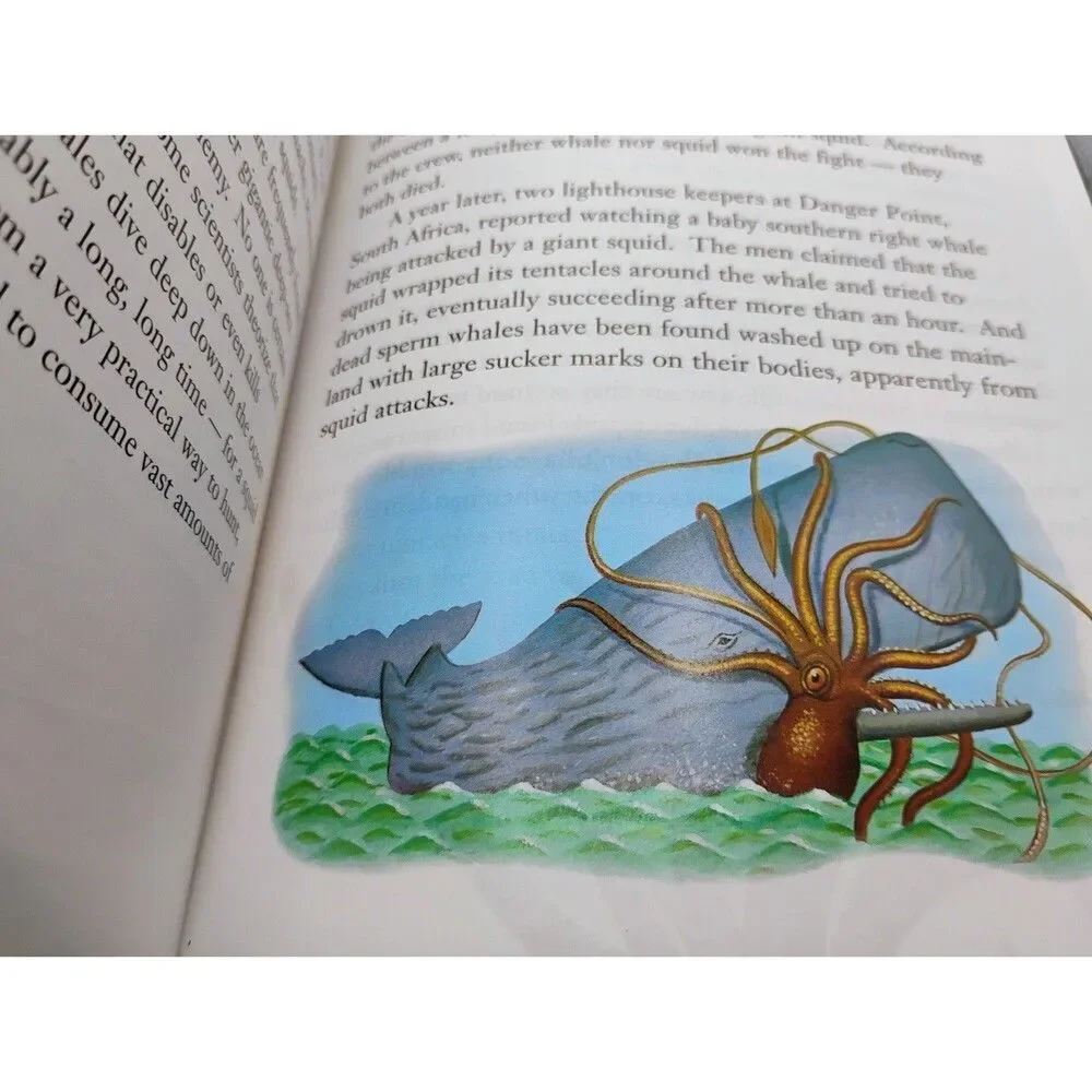 The Mysterious Giant Squid, Luka Berman, 2004, Paperback